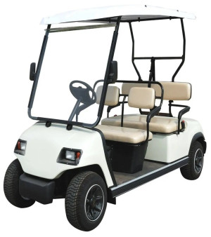 Golf Cart Vehicle