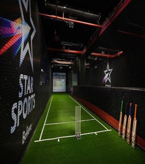Cricket Simulator 